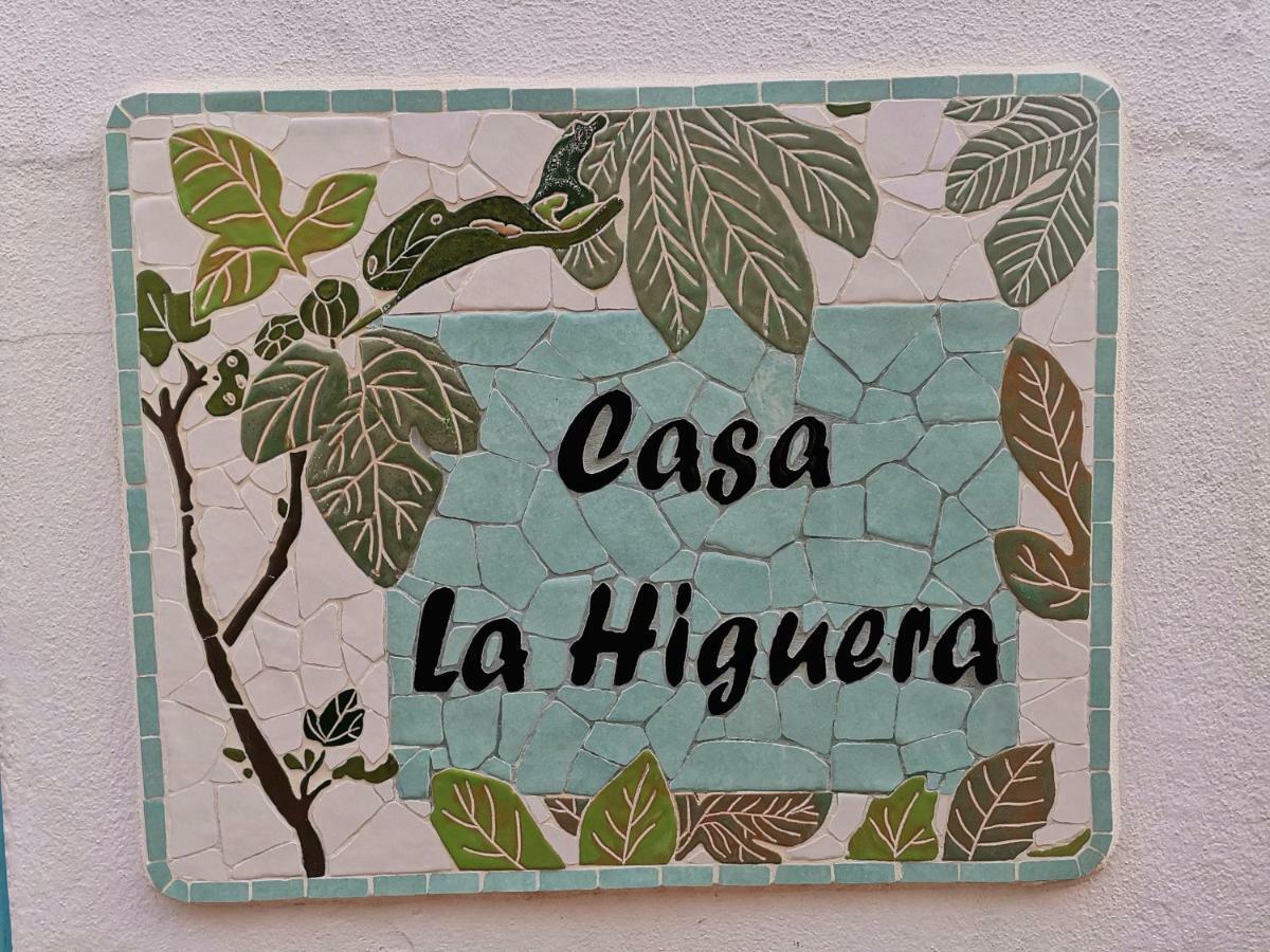 フリヒリアナ Casa La Higueraゲストハウス エクステリア 写真